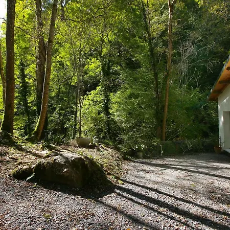 Au Moulin Pensión Esbareich